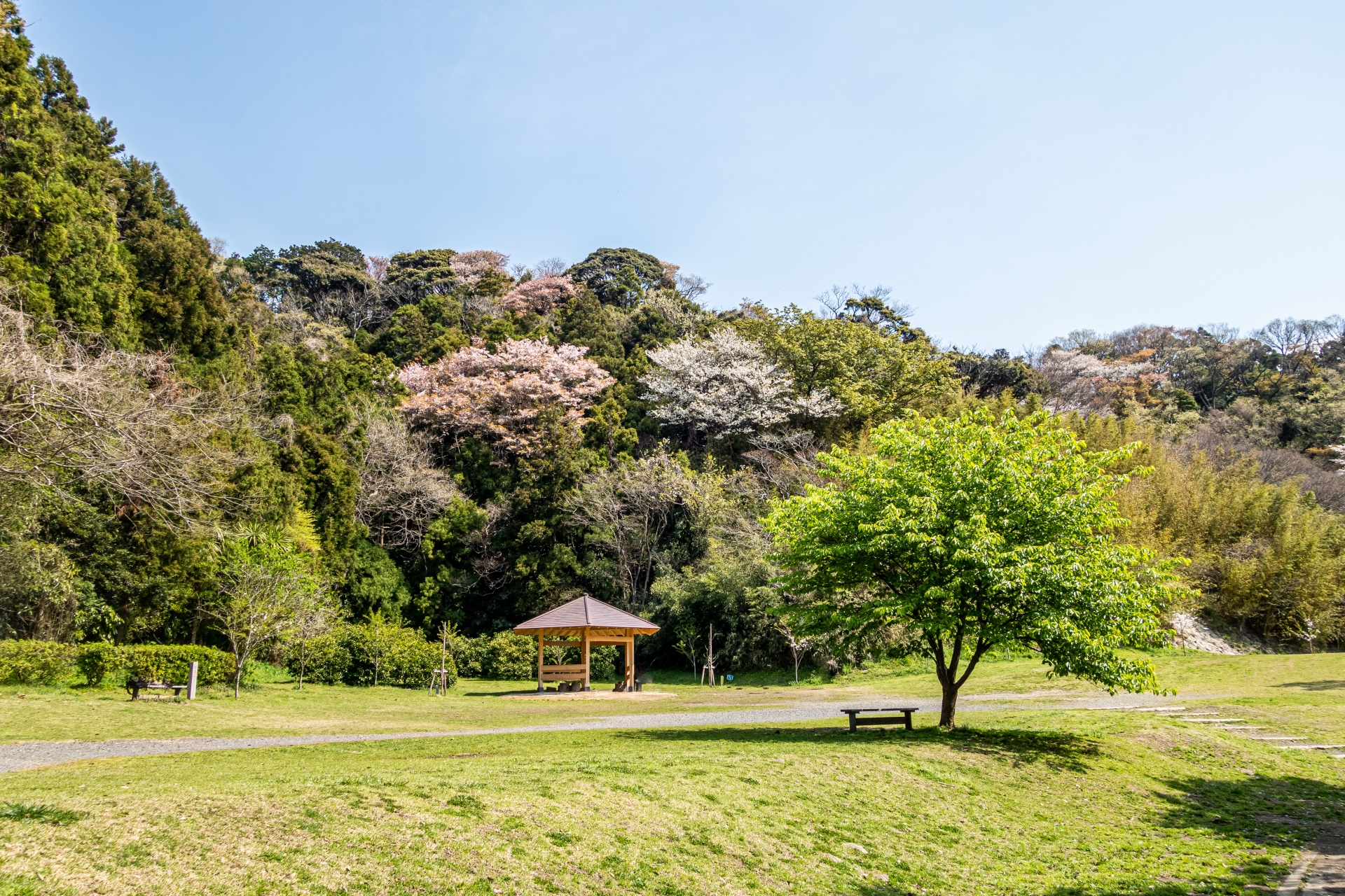 桜の咲く山を背に、東屋とベンチが並ぶ南郷上ノ山公園の芝生広場